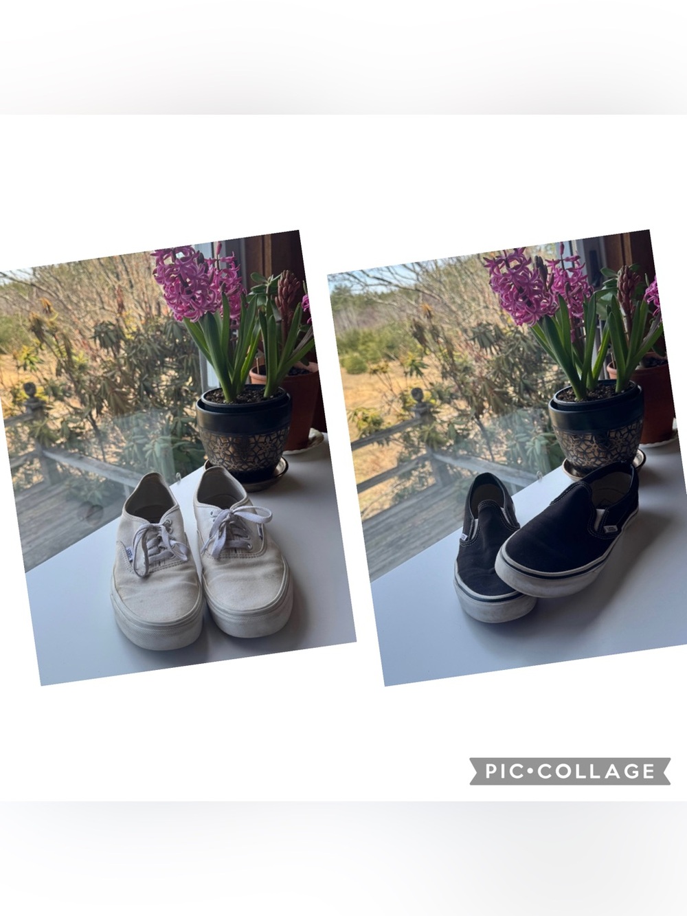 2 Pack Vans Kids White Lace-Up & Black Slip-On Canvas Sneakers